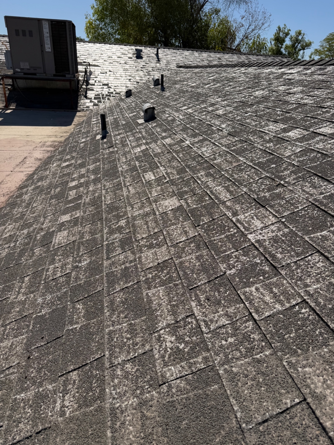 Weathered 3-tab asphalt shingle field with heavy granule loss on Mesa AZ home