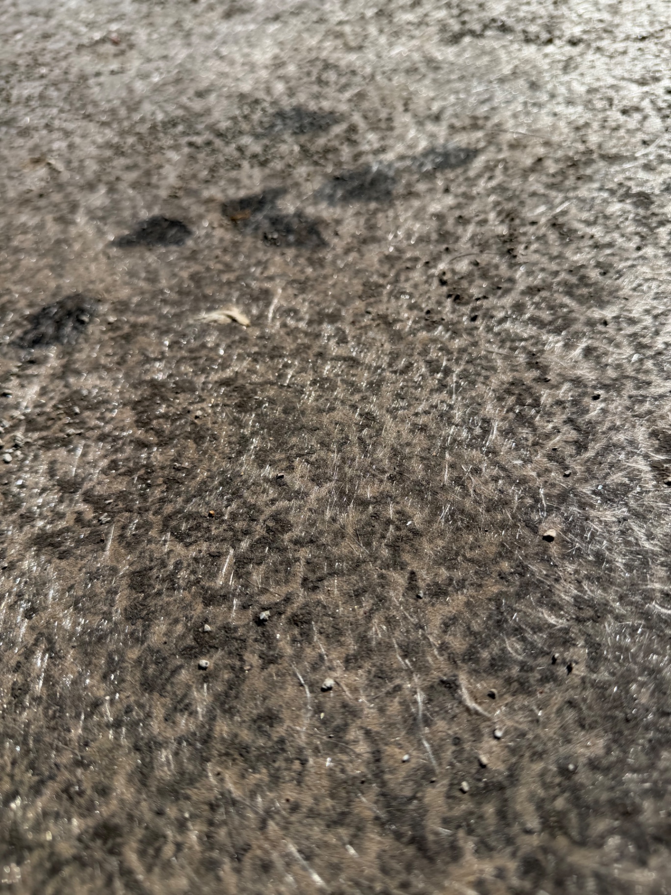 Close-up of cracked and delaminating flat roof coating showing substrate