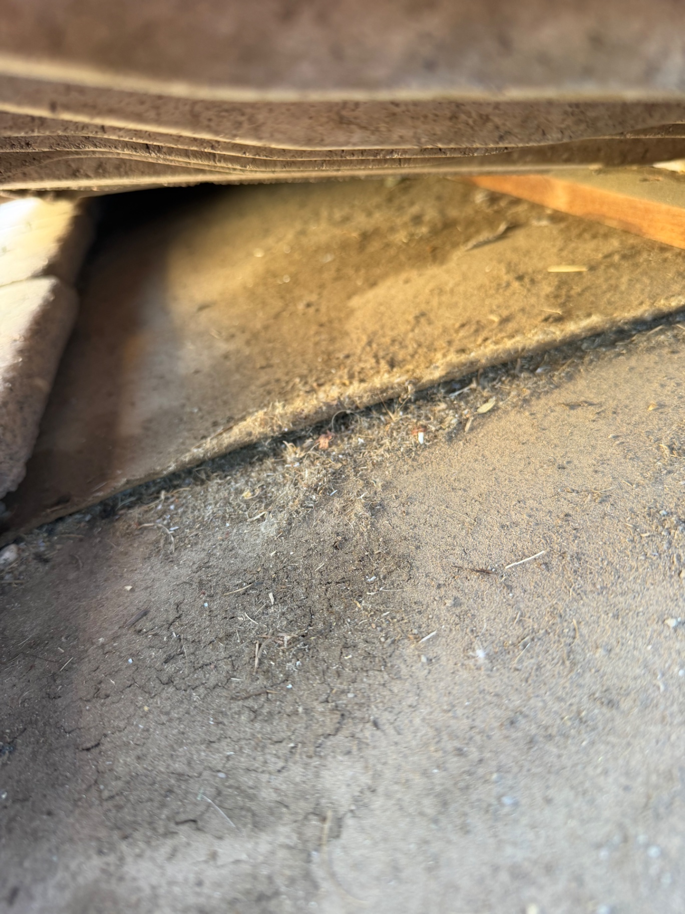 Underside of tile showing degraded felt underlayment