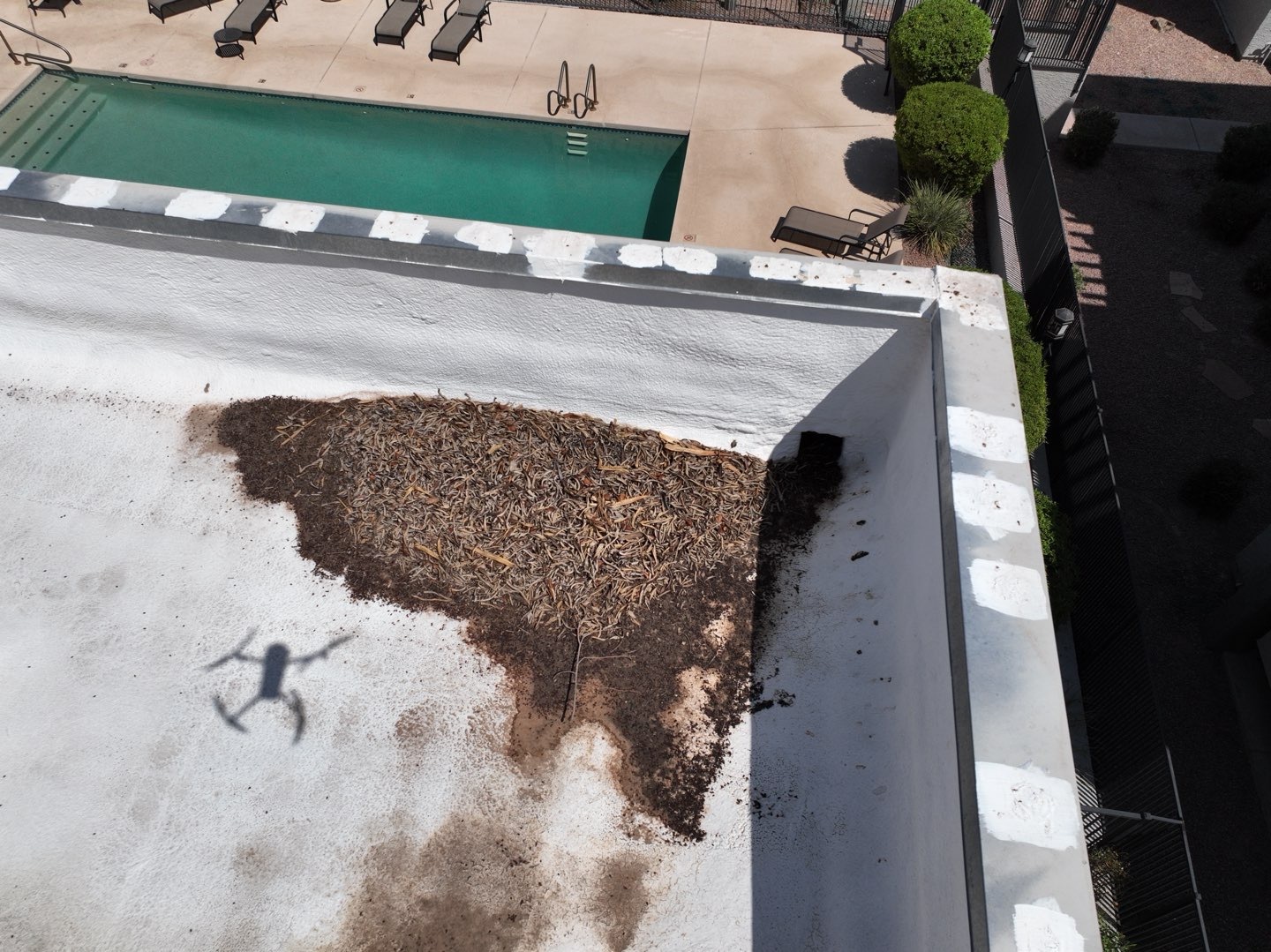 Debris buildup and ponding stains near a parapet wall on a Scottsdale AZ condominium roof before recoating