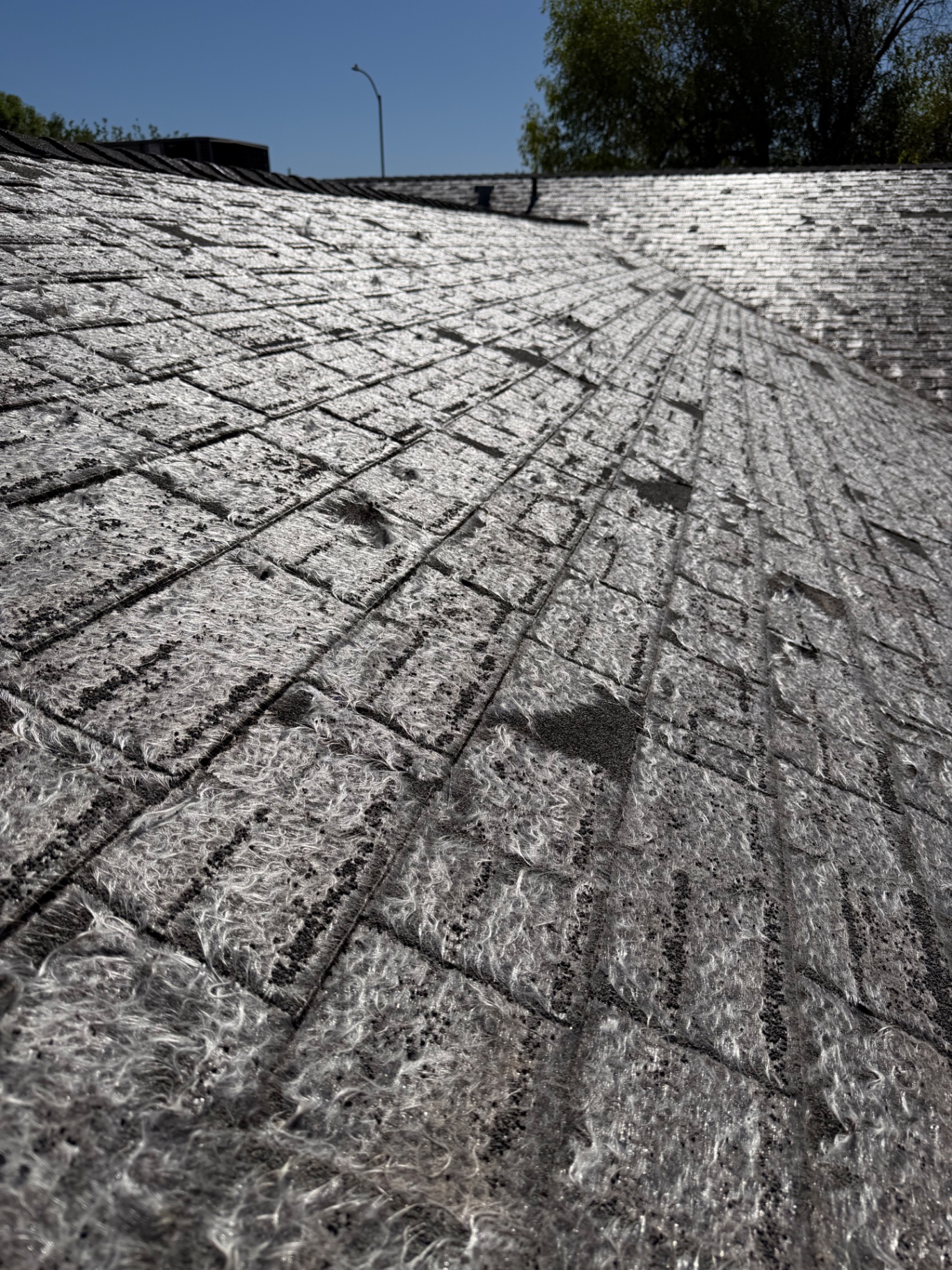 Extreme granule loss on asphalt shingles exposing fiberglass mat fibers